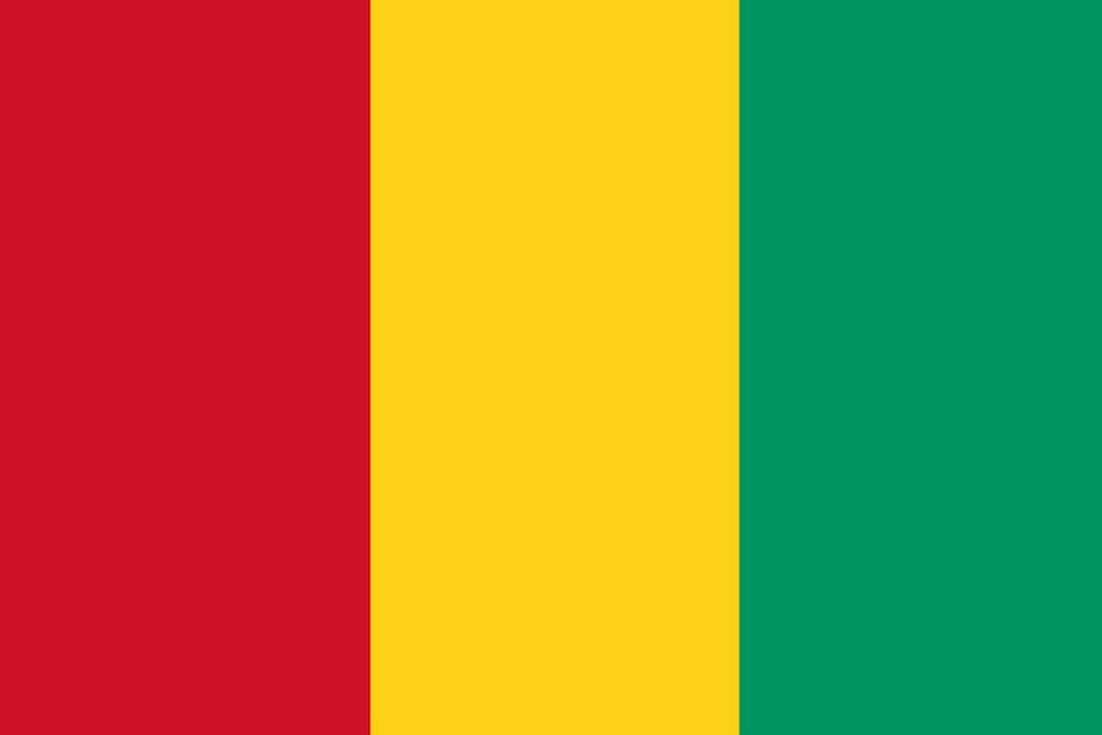 Guinée: Mme Bilguissou BAH