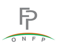 ONFP_Formation-professionnelle